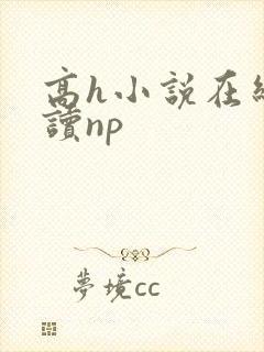 高h小说在线阅读np