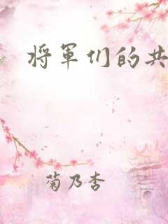 将军们的共妻H