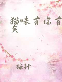 猫咪有你有我足矣