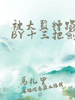被太监糟蹋之后BY十三把剑