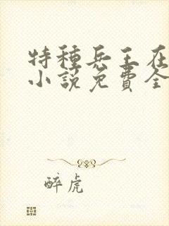 特种兵王在山村小说免费全文阅读