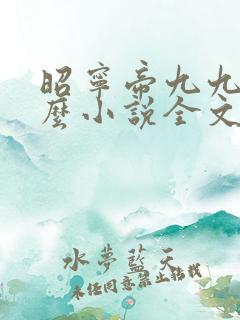 昭宁帝九九是什么小说全文免费阅读