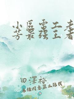 小区电工老周刘芳最强王者