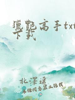 猎艳高手txt下载