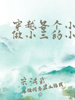 穿越各个小世界做小三的小说