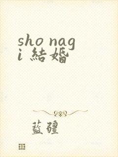 sho nagi 结婚