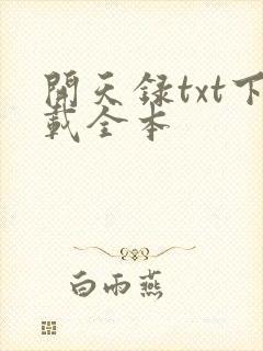 开天录txt下载全本