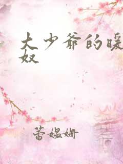 大少爷的暖床小奴