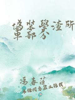 伪装学渣所有开车部分
