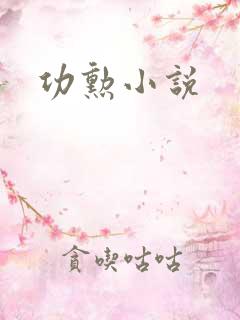 功勋小说