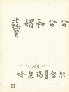 苏媚和公公赵大宝