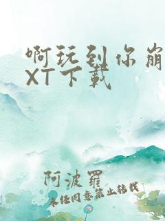 啊玩到你崩溃TXT下载