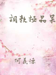 调教极品呆夫