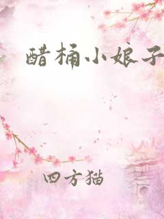 醋桶小娘子