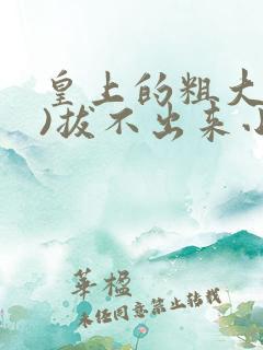 皇上的粗大(h)拔不出来小说
