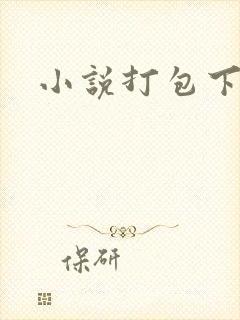 小说打包下载