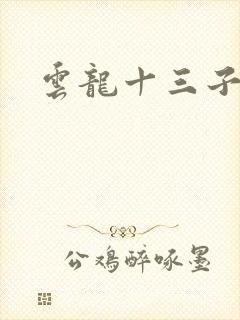 云龙十三子