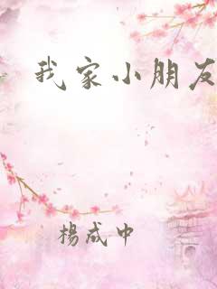 我家小朋友小说