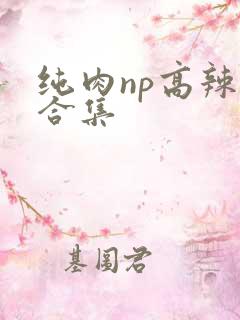 纯肉np高辣文合集