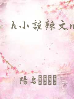 h小说辣文np