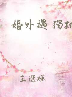婚外遇 独孤卫