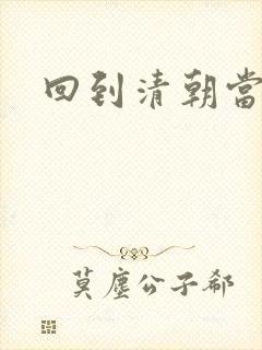 回到清朝当总统