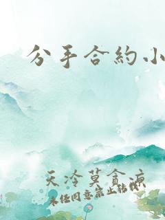 分手合约小说