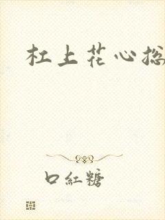 杠上花心总裁