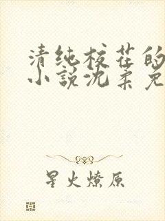 清纯校花的日常小说沈柔免费阅读