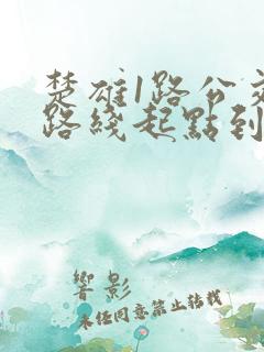 楚雄1路公交车路线起点到终点