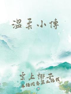 温柔小传