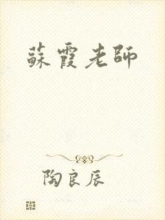 苏霞老师