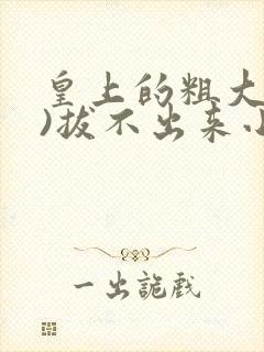 皇上的粗大(h)拔不出来小说
