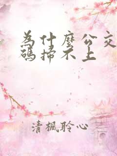 为什么公交车扫码扫不上
