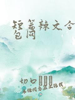 短篇辣文合集书包网
