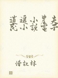 逍遥小农夫小农民小说电子书下载