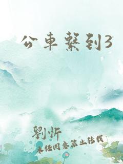 公车系到3
