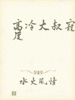 高冷大叔宠妻无度