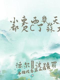 小东西几天没做都欠C了苏大深