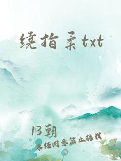 绕指柔txt