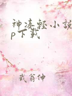 神凑轻小说app下载