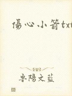 伤心小箭txt