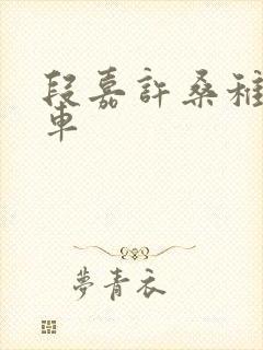 段嘉许桑稚浴室车