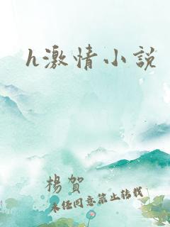h激情小说