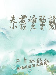 夫君娇弱请小心小说免费阅读全文