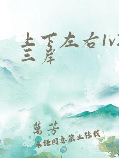 上下左右1v2三岸