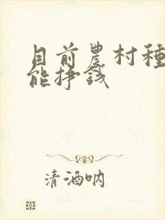 目前农村种什么能挣钱