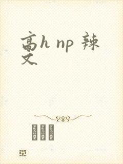 高h np 辣文