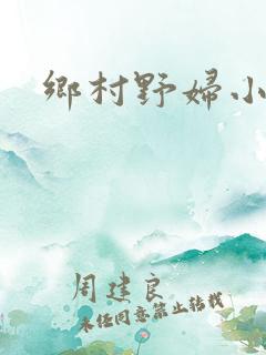 乡村野妇小说