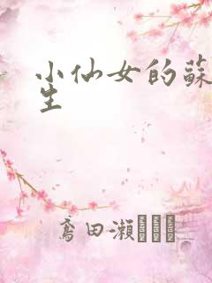 小仙女的苏撩先生